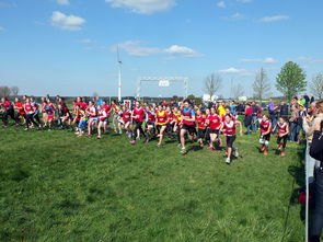 华体会app安装-中国篮球青少年篮球发展政策落实与推广，中国青少年篮球发展现状