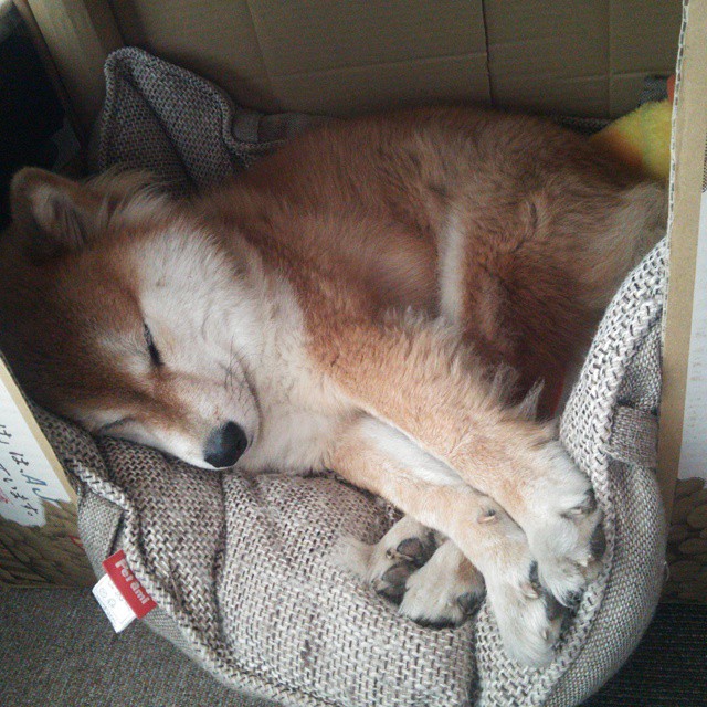 华体会app-中国篮球青少年篮球发展趋势分析,青少年篮球的未来发展 第6张 华体会app-中国篮球青少年篮球发展趋势分析,青少年篮球的未来发展 第6张