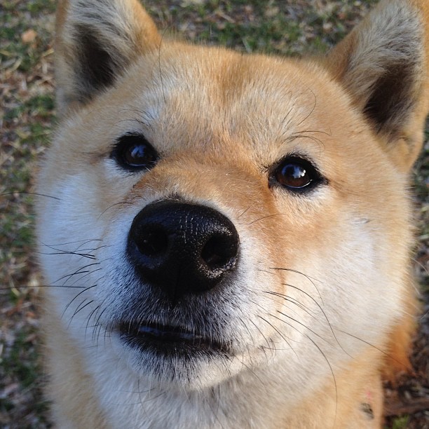 华体会官网-中国篮球青少年篮球培训机构发展现状,青少年篮球培训机构未来发展趋势 第2张 华体会官网-中国篮球青少年篮球培训机构发展现状,青少年篮球培训机构未来发展趋势 第2张