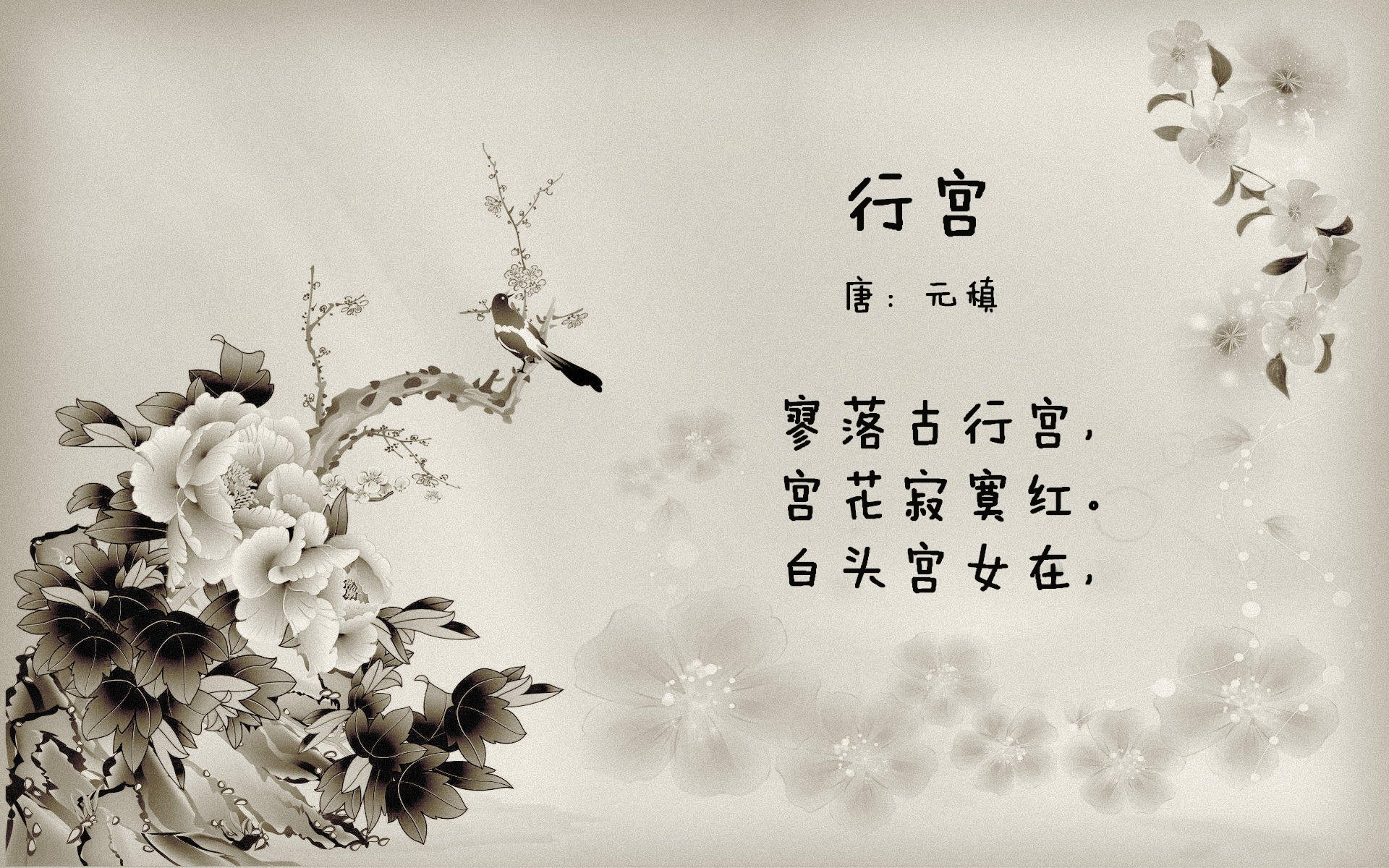 华体会在线登录-中国篮球青少年篮球培训机构现状,青少年篮球培训招生 第2张 华体会在线登录-中国篮球青少年篮球培训机构现状,青少年篮球培训招生 第2张