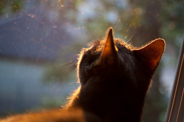 华体会app注册-全国青少年攀岩落幕，未来之星冉冉升起，中国青少年攀岩