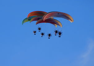 华体会在线登录-德甲球队构建动态战术模拟系统提升临场应变