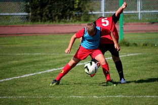 华体会登录-篮球运动员训练负荷监控系统开发与应用研究，篮球运动员运动负荷量