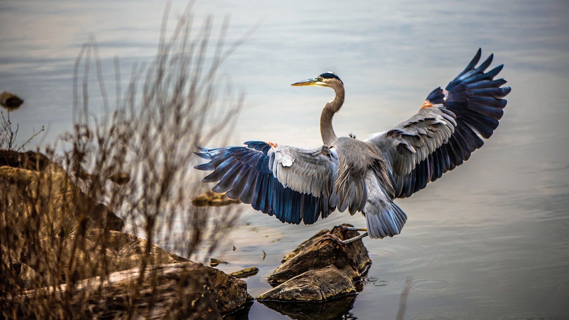 华体会登录-篮球运动员训练负荷监控系统开发与应用研究，篮球运动员运动负荷量