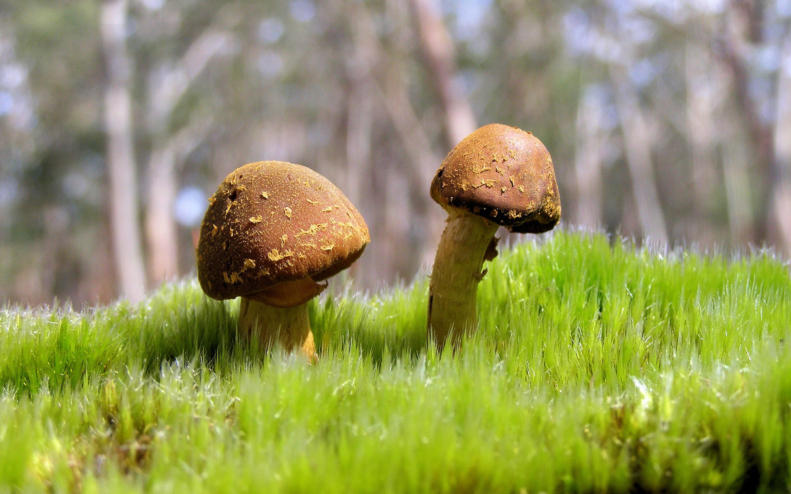 华体会网站-运动员职业技能竞赛方案，运动员职业技能竞赛方案怎么写