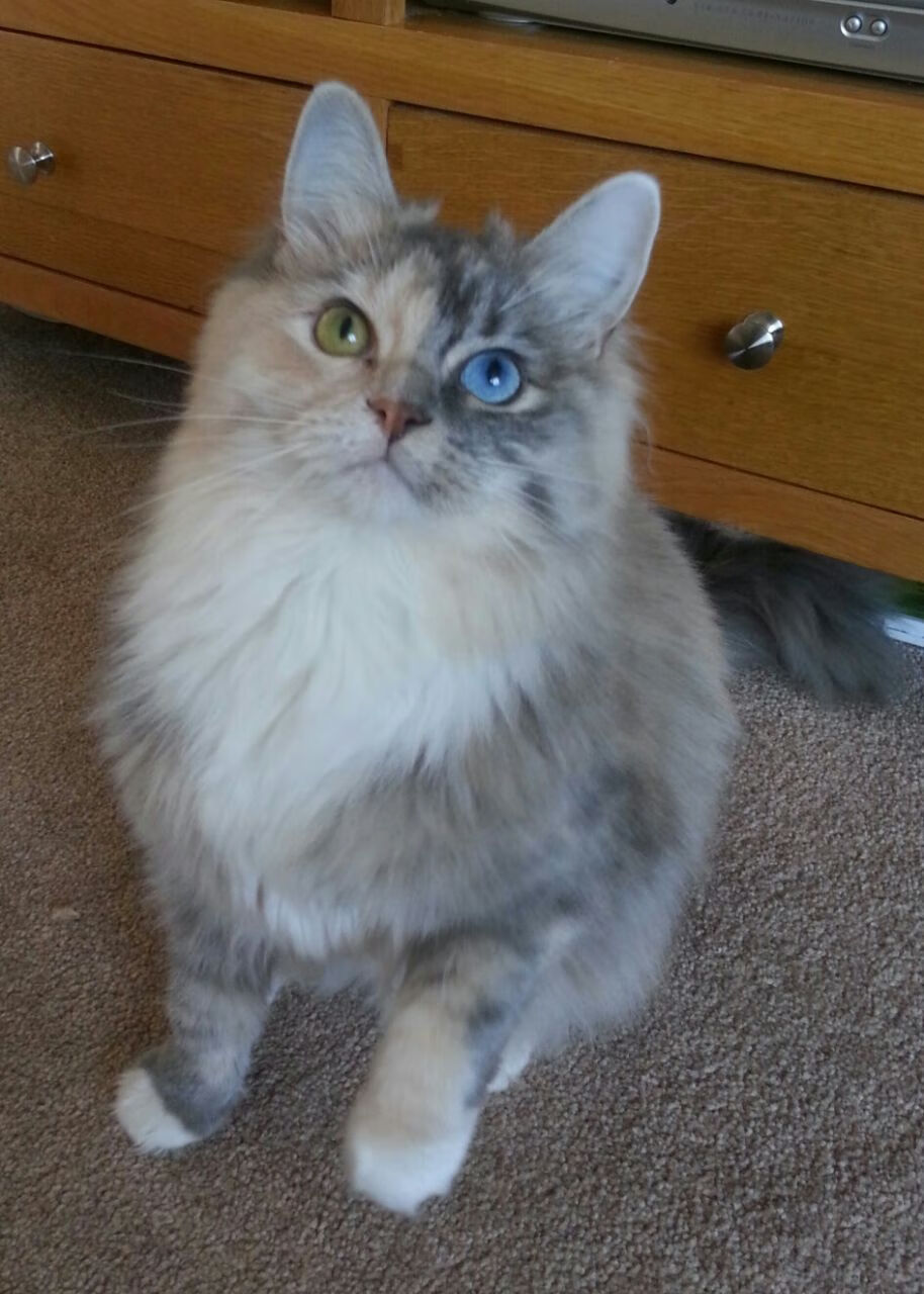 华体会官方网站-CBA联盟深化联赛品牌建设 吸引更多关注,cba联盟公司 第2张 华体会官方网站-CBA联盟深化联赛品牌建设 吸引更多关注,cba联盟公司 第2张