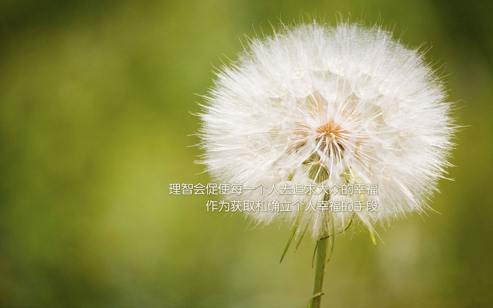 华体会app下载-体育新闻中心推动城市体育内容传播联盟建设，体育行业新闻