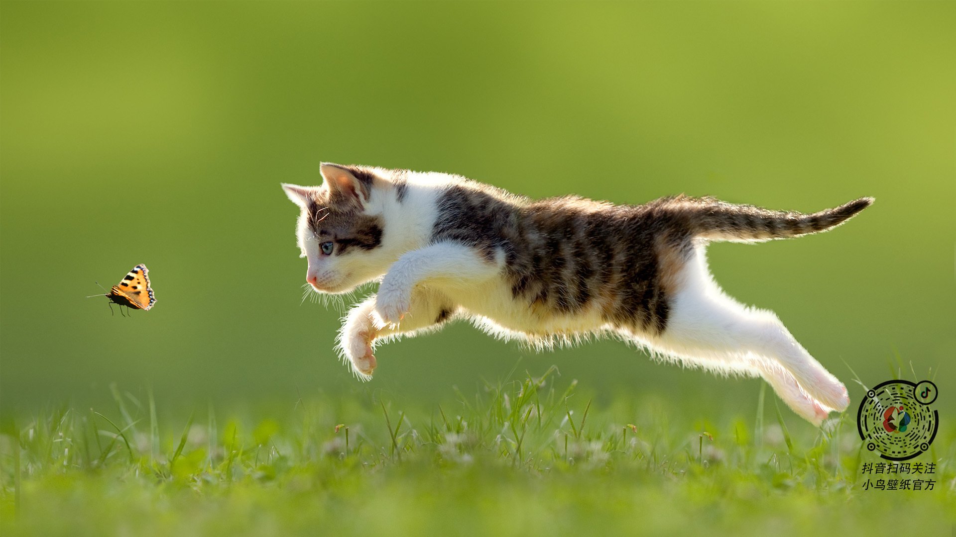 华体会手机在线-凯尔特人投篮教练讲解命中率提升技巧，凯尔特人球员篮球