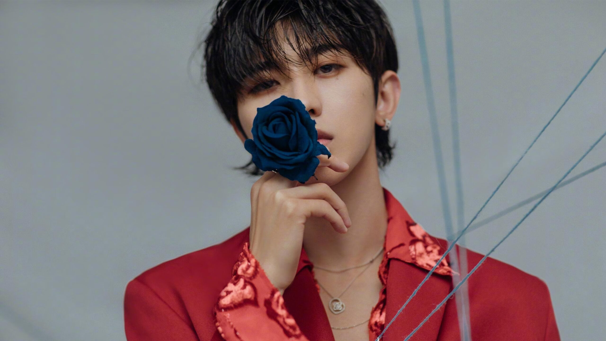 华体会登录入口-南非橄榄球市场影响力逐步增强，赛事传播范围更广，南非橄榄球图片