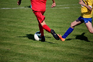 华体会登录入口-国际青少年足球锦标赛持续火热，培养未来足球明星，世界青少年足球