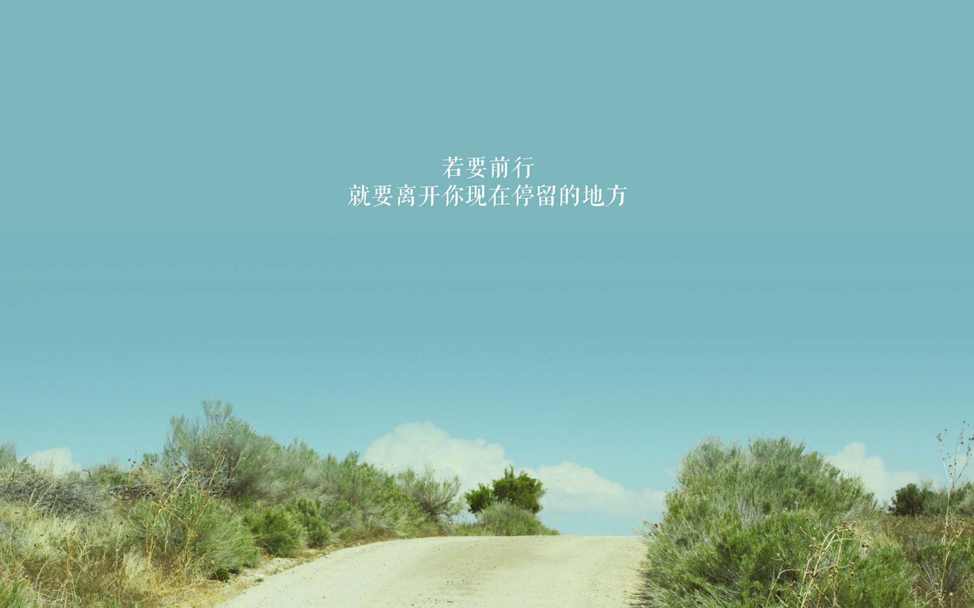 华体会官网-意甲精彩瞬间：速度、技术、团队的完美结合！，意甲冲刺速度