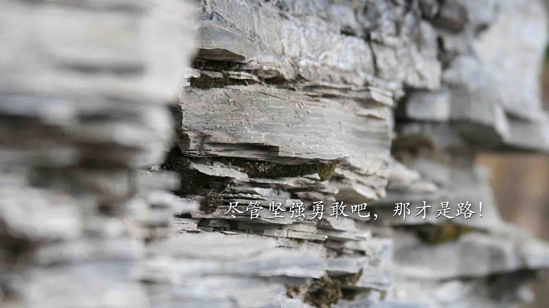 华体会app注册-校园足球加入跨年联赛模式延长实战训练周期，本次校园足球比赛赛制