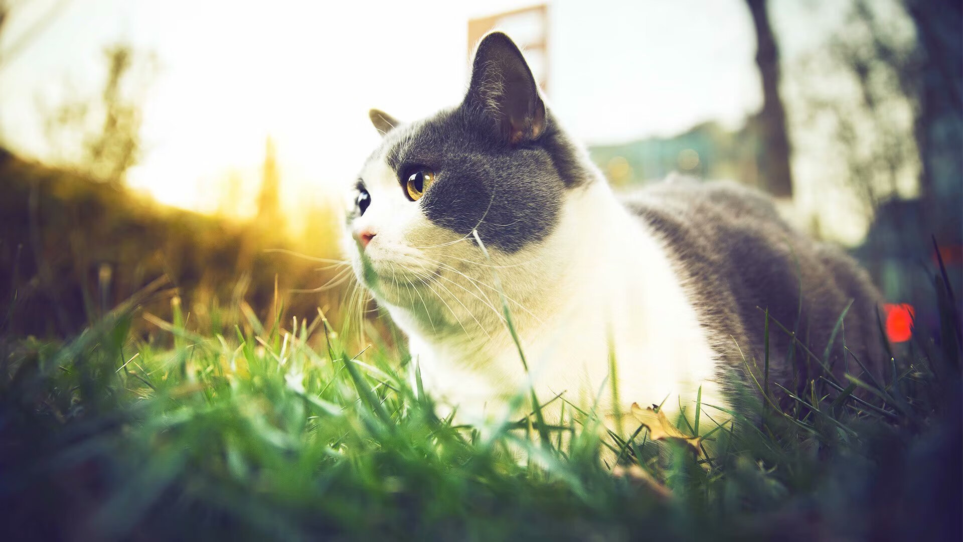 华体会官网-滑行段利用率提升明显，速度加快，滑行距离公式