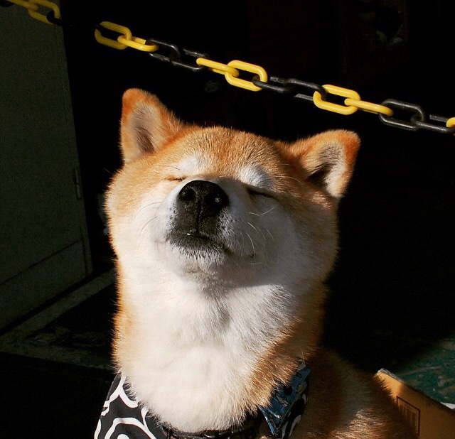 华体会登录地址-足球大数据分析纳入联赛标准配置推动科学训练，足球大数据ds