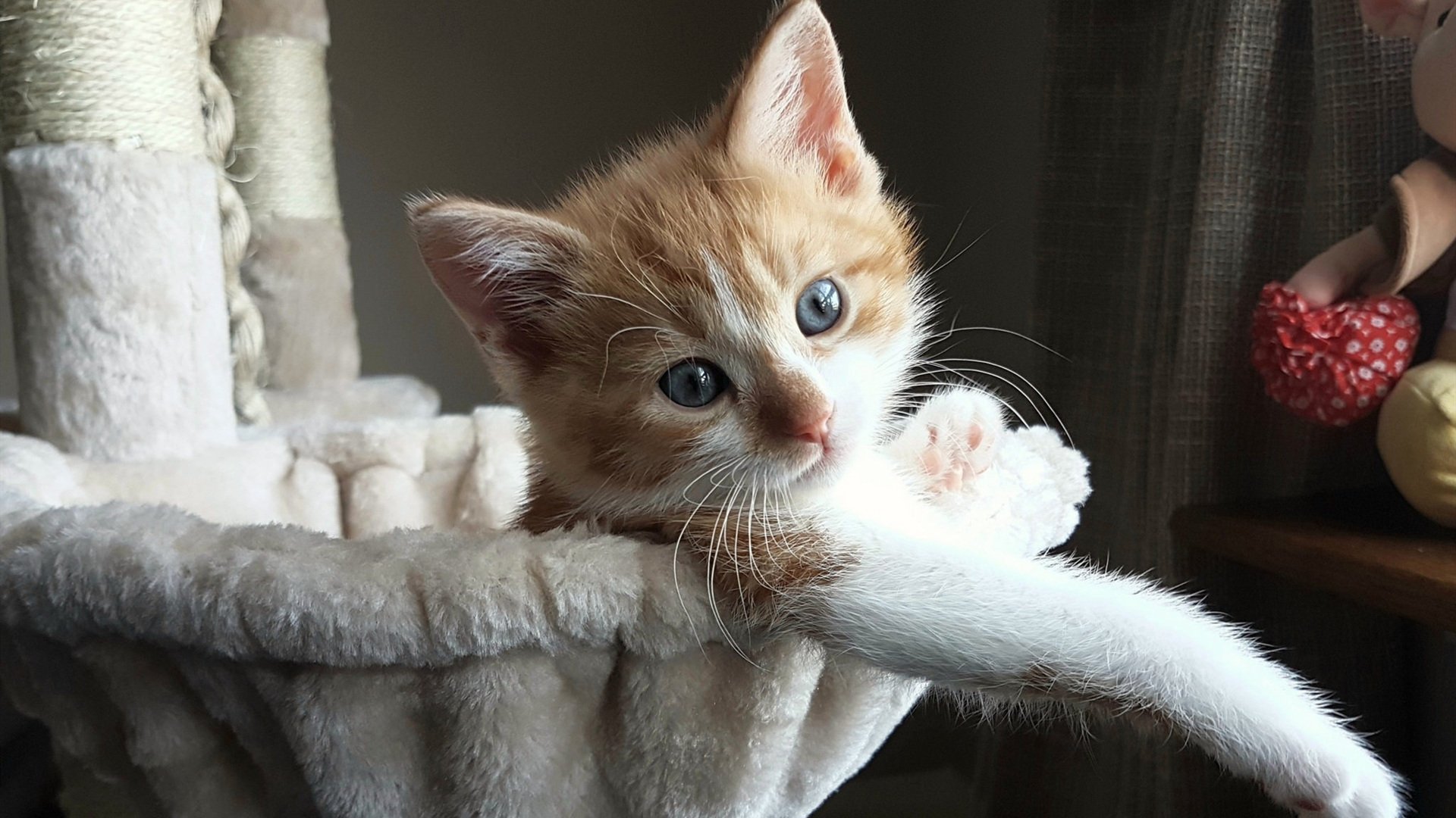 华体会网址-足球运动减缓伤害新研究成果发布，足球运动损伤预防与治疗