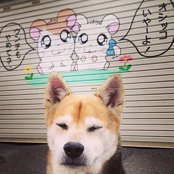 华体会在线-中国足球国家队注重对抗训练与实战演练,中国足球国家队比赛理念