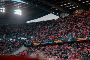 华体会app-中国足球球迷群体在线交流平台与社区文化发展,中国足球队球迷