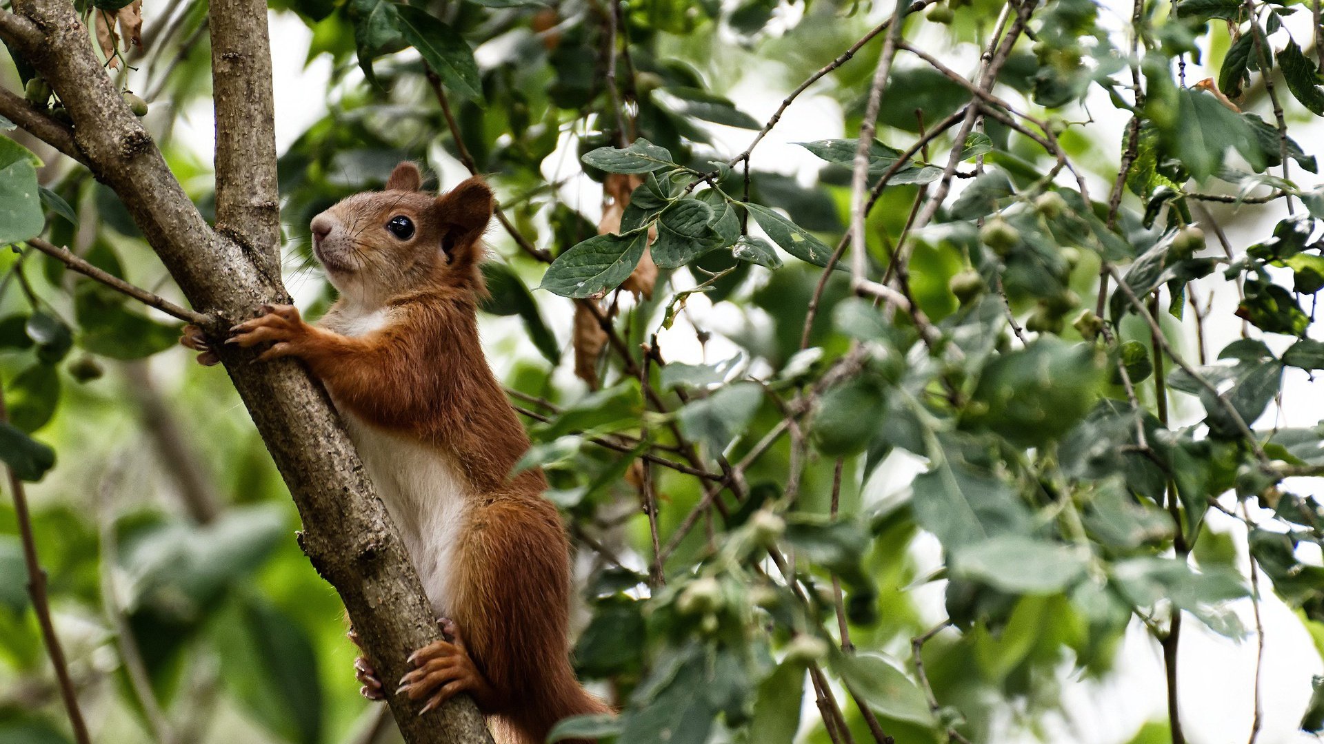 华体会官方网站-中国足球青少年足球运动全面纳入地方教育系统，我国青少年足球发展