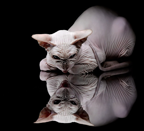 华体会app下载-中场三人组主导控场节奏,三中场怎么搭配