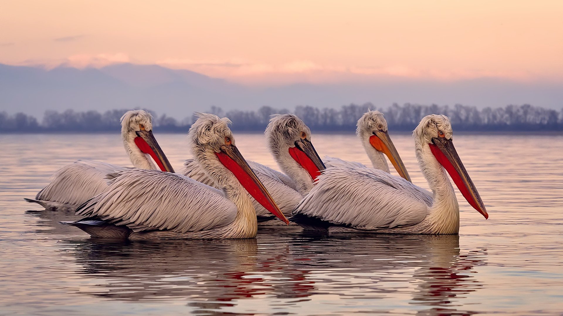 华体会app下载-中场三人组主导控场节奏,三中场怎么搭配